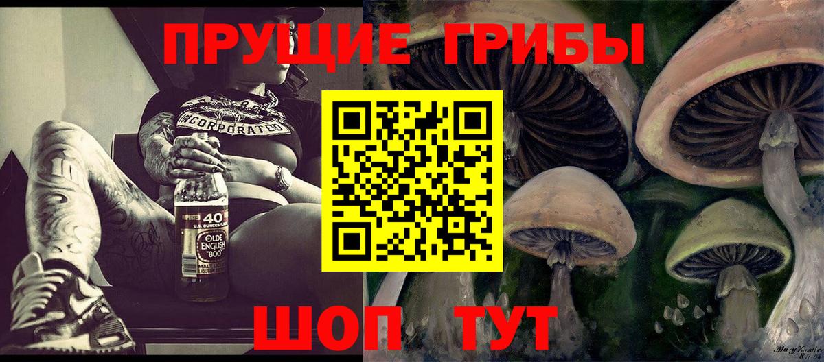 Галлюциногенные грибы прущие грибы  Вход с VPN  Нижнеудинск  Псилоцибиновые грибы мицелий 